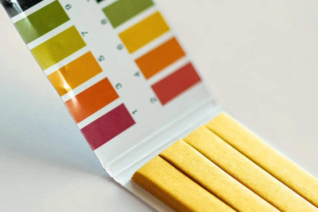 pH test strip showing acidity and alkalinity for cold process soap